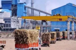 UP News: निजी चीनी मिलों ने गन्ना पेराई में बनाई बढ़त... सहकारी मिलों में मरम्मत और तैयारी चल रही पीछे