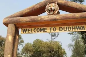 लखनऊ से दुधवा पार्क के लिए पूरे नवंबर चलेगी बस... 500 से भी कम किराया, विस्टाडोम सफारी बनी आकर्षण का केंद्र