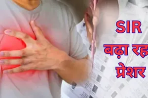 कार्य के दबाव में बीएलओ कर्मियों की जा रही जान... कांग्रेस ने उठाई न्यायिक जांच और समय सीमा बढ़ाने की मांग