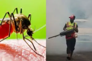 मच्छरों का बढ़ा आतंक, डेंगू फैलने का खतरा... फॉगिंग और एंटी लार्वा का छिड़काव ठप