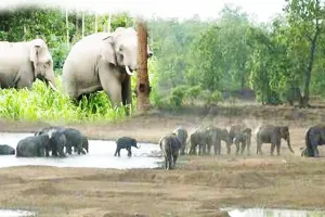 UP: अनुकूल वातावरण और बिछड़े साथियों की तलाश में PTR आ रहे नेपाली हाथी