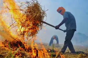 Moradabad : पराली- गन्ने की पत्ती जलाने पर 7 किसानों से वसूला 35 हजार का जुर्माना