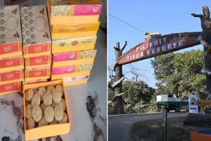 Pilibhit: अब पीटीआर करेगा मिठाई की ब्रांडिंग, जंगल किनारे बसे समुदाय की बढ़ेगी आजीविका