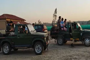 Pilibhit : सार्वजनिक अवकाश पर भी सैलानियों के लिए खुला PTR...बाघ समेत अन्य वन्यजीवों के हुए दीदार