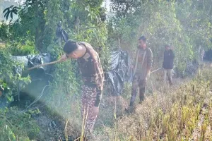 Pilibhit: सर्दियों की बढ़ी शिकार की आशंका, पीटीआर में शुरू हुई एंटी स्नेयर वॉक