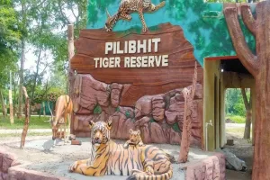 Pilibhit: पीटीआर में 10 दिसंबर से शुरू होगी राष्ट्रीय बाघ गणना