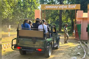 रोमांच की सैर : अमानगढ़ टाइगर रिजर्व में पहले 15 दिनों में पहुंचे 375 पर्यटक