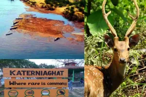 आज से पर्यटकों के लिए खुल गया कतर्नियाघाट:  इन जंगली जानवरों का करें दीदार, ठहरने से लेकर इन सुविधाओं का मिलेगा लाभ 