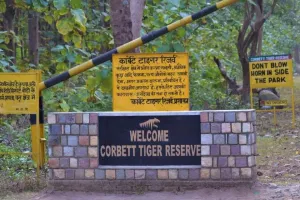  सुप्रीम कोर्ट का आदेश...धामी सरकार को करना होगा कॉर्बेट बाघ अभयारण्य में पेड़ कटाई से हुए नुकसान की भरपाई 