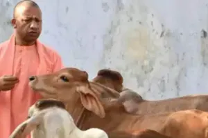 मंत्री धर्मपाल सिंह के निर्देश , पर्यटन स्थल के रूप में विकसित हों बड़े गो आश्रय स्थल, PPP मॉडल प्रोजेक्ट के तहत किया जाएगा विकास