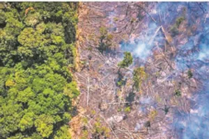 खतरनाक है अमेजन टिपिंग पॉइंट