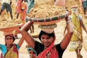 मनरेगा में अचानक आई गिरावट :  327 ग्राम पंचायतों में गिरा काम का ग्राफ, धान की कटाई में मिल रही ज्यादा मजदूरी 