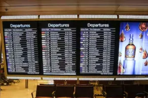  एयर इंडिया का सर्वर हुआ डाउन...दिल्ली एयरपोर्ट पर लगी लंबी कतार, Check-in System बाधित होने से उड़ानों में देरी 