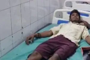  हरदोई :  कोबरा के फन को युवक ने चबा डाला, सांप की मौत