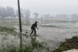 Barabanki News : सिंचाई विभाग की लापरवाही से सैकड़ों बीघा फसल जलमग्न, जानिए क्या बोले किसान