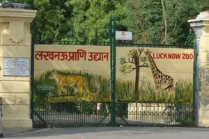 ईको-टूरिज़्म को बढ़ावा देने के लिए योगी सरकार का बड़ा कदम, लखनऊ चिड़ियाघर को संवारने में खर्च करेगी 1.91 करोड़  