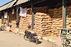 पीलीभीत: धान खरीद में खेल करने पर फंसे, समिति सचिव और क्रय केंद्र प्रभारी पर FIR