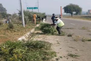 कानपुर : डिवाइडर में उगी घास और जमा मिट्टी की सफाई शुरू