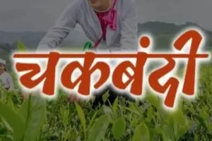 कन्नौज : किसानों और पंचायत सदस्यों ने सीएम को भेजा हलफनामा, चकबंदी निरस्त करने को लेकर उठाई आवाज 