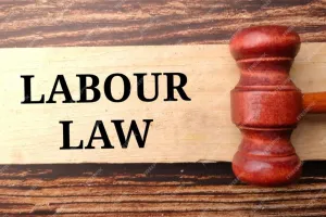 नए श्रम संहिता : कर्मियों, नियोक्ताओं के लिए सुनहरा मौका, पंजीयन कराएं 