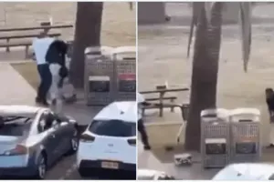 सिडनी : बोंडी बीच पर गोलीबारी में 12 लोग मारे गये, दो पुलिसकर्मियों समेत 10 घायल