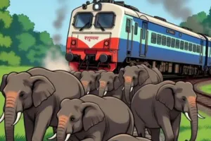 असम में हाथियों का झुंड से टकराई राजधानी एक्सप्रेस, इंजन समेत पांच डिब्बे पटरी से उतरे 