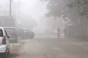 Moradabad: घने कोहरे की चादर ने थामी वाहनों की रफ्तार, गलन बढ़ी