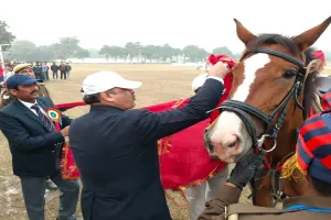 Moradabad: मुरादाबाद जोन बना ओवरऑल चैंपियन, सीतापुर के शाहीन को मिला बेस्ट घोड़े का खिताब