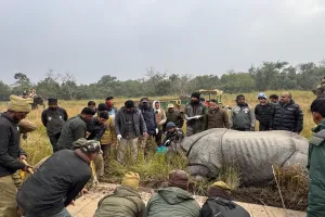 UP: दीपिका व नकुल गैंडे के हटाए जीपीएस कॉलर...एक मादा का आज हटेगा 