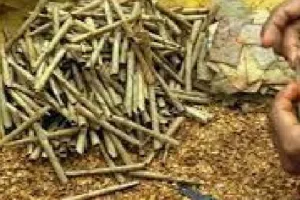 ब्रांडेड बीड़ी का नकली सामान बेचने पर दो थोक विक्रेताओं पर रिपोर्ट, छापेमारी के दौरान मिले 155 बंडल