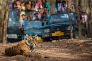 दुधवा नेशनल पार्क की सैर अब आसान और सस्ती: एक रात-दो दिन के 5 विशेष पैकेज लॉन्च