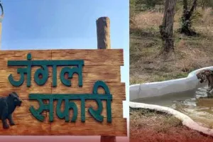 World Wildlife Conservation Day Special: यूपी की जंगल सफारी में नंबर-1 बनने की राह पर! गैंडा-बाघ के साथ कमाई भी, जयवीर सिंह का मेगा प्लान