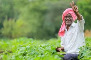 किसानों को मिली बड़ी राहतः फसल की 33% नुकसान पर भी मिलेगी पूरी राहत, पशु मौत पर 33,500 तक मदद