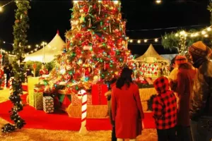 80 हजार लोग, लाखों मोमबत्तियां... 25 दिसंबर को लखनऊ का चर्च बनेगा रोशनी का समंदर, बिशप का भावुक संदेश