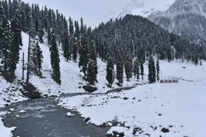 कश्मीर में चिल्ला-ए-कलां की धमाकेदार शुरुआत: ऊंचाई वाले इलाकों में बर्फबारी, मैदानों में बारिश – लंबे सूखे के बाद राहत