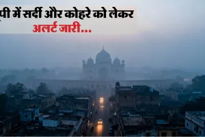  उत्तर प्रदेश में 20 दिसंबर तक घने कोहरे का  प्रकोप: कई जिलों में रेड अलर्ट, यात्रा करने से बचें
