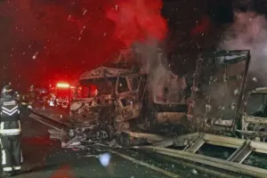 जापान में राजमार्ग पर भीषण हादसा, एक की मौत, 26 घायल 