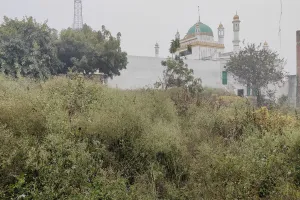 UP: जामा मस्जिद से सटे कब्रिस्तान में 1200 से 1500 वर्ग मीटर भूमि पर कब्जा