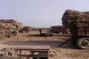 Moradabad:बिजनौर में 31 और मुरादाबाद में 17 मामले पकड़े, तौल लिपिकों के लाइसेंस निरस्त