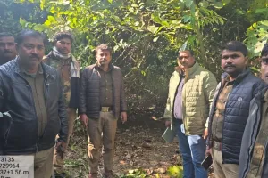 नेपाल सीमा से सटे गांव में तेंदुए का कहर:  पचपेड़वा में महिला पर हमला, मौके पर मौत