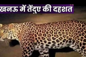  लखनऊ के रहमान खेड़ा तक तेंदुए की फैली दहशत:  पगचिह्नों ने बढ़ाई वन विभाग की चिंता...हुआ अलर्ट