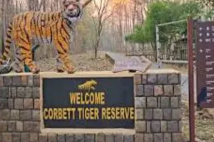 उत्तराखंड :  कॉर्बेट के ढेला रेस्क्यू सेंटरों में वन्यजीवों के लिए विशेष इंतजाम, ठंड से बचने के लिए तैयार हुआ डाइट चार्ट  