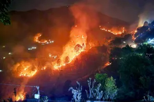 ठंड में भी धधके उत्तराखंड के जंगल,  आग से वन सम्पदा को भारी क्षति 