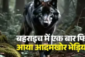  यूपी : मां की गोद में सो रही बच्ची को उठा ले गया आदमखोर भेड़िया, ताबड़तोड़ तीसरे बच्चे को बनाया निशाना 