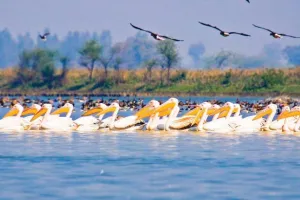 इनबाउंड टूरिज्म का नया केंद्र बनकर उभरेगा लखीमपुर खीरी, शारदा बैराज देगा विकास को गति 