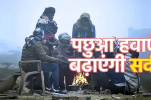 प्रदेश में गलन भरी पछुआ बढ़ा रही ठिठुरन:  IMD ने जारी किया अलर्ट, कई जिलों में कोहरे और सर्दी से जनजीवन प्रभावित