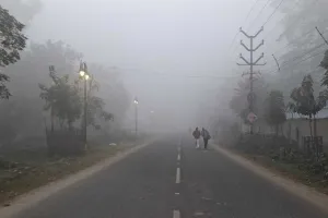 कोहरे में लिपटा प्रयागराज,  सड़कों पर सन्नाटा.. तापमान में भी गिरावट दर्ज