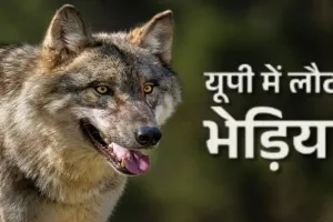  बहराइच : भेड़ियों का आतंक जारी, दो मासूमों को किया हमला 