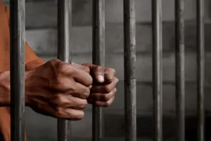  अमेरिका में भारतीय नागरिक को 90 महीने की सजा: बुजुर्गों के साथ धोखाधड़ी का आरोप, 20 लाख डॉलर का जुर्माना 