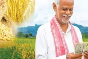 यूपी के किसानो को राहत: खरीफ में बारिश से बर्बाद फसलों का बढ़ा क्लेम, 2.50 लाख किसानों को 200 करोड़ क्षतिपूर्ति